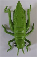 Indian Springs Grasshopper (9)