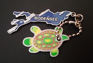 Bodensee-Schildkröte 2019