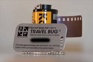 Northern Passion Travel Bug