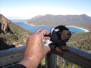 Tazzy at Wineglass Bay