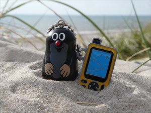 buddelflink on beach