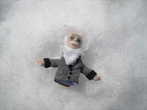 Charles Darwin makes a snow angel!