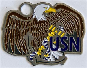 Travel Navy tag
