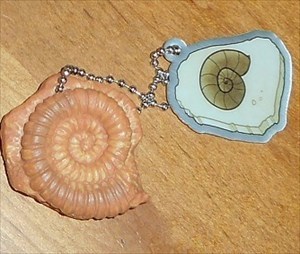 EarthCache Fossil Shell with fossil companion