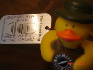 Geocachin Duck