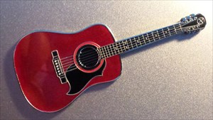 13coach13&#39;s Acoustic Guitar Geocoin
