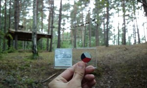 Placing the coin - Sweden