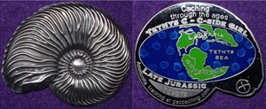 Ammonite - Late Jurassic