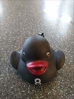 The new Quackbeard