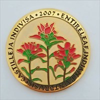 Indian Paintbruch Geocoin front