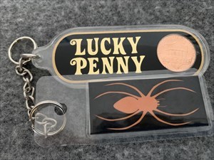 Lucky Penny Travel Spider