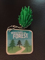 Discover the Forest!