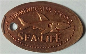 5er - Timmendorfer Strand Sea Life Hai