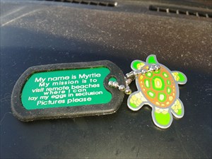 I am Myrtle and I am a turtle!