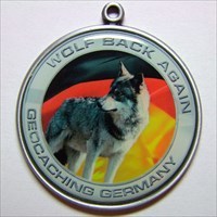Wolf in Germany (front)