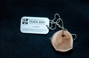 Travel_Bug_1