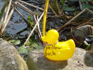 Yellow Duck is klaar voor de reis.