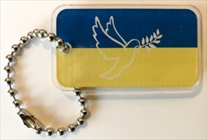 Support Ukraine Travel Bug