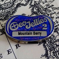 GeoJellies 2 Geocoin Mountain Berry front