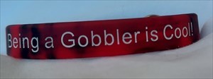 gobbler 1