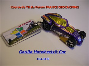 Gorilla Hotwheels® Car