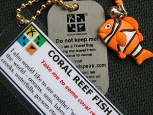 Coral Reef Fish - new look