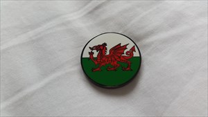 Wales Flag Micro Geocoin