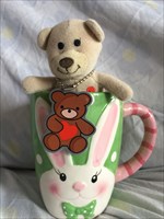 Mr. Tea and Amore the Travelling Tea Party Teddies