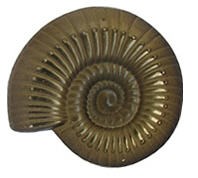 Ammonite Geocoin - Late Triassic