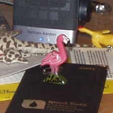The Flamingo before the traveling begins
