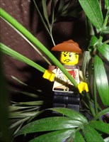 José dans la jungle