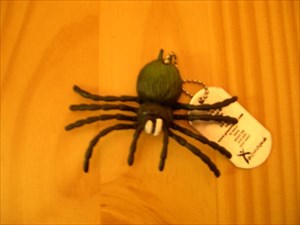 Eincy Weincy Spider