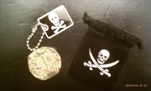 Me Lost Pirate Doubloon