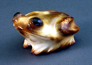 Frog02