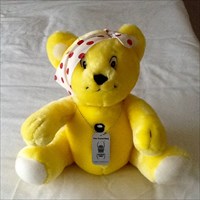 Caching Pudsey on his Birthday