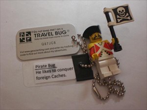 Pirate_Bug02