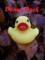 Donny Duck