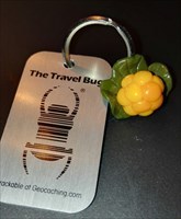 Cloudberry Travel Bug
