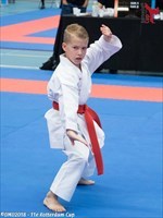 Karate tournament