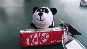 Kit Kat the Panda