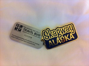 Skagway Travel Bug