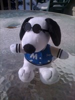 Cool Dude Snoopy TB