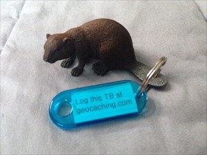 Replacement Beaver TB