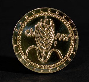 One side of the coin