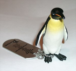&quot;Godefroy&quot; the Penguin