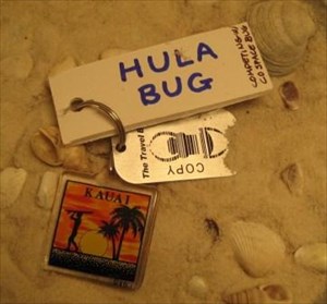Hula Bug - Kauai bound