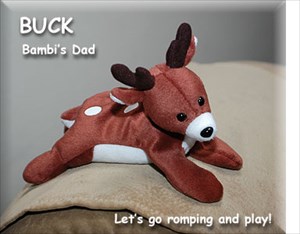 Buck wants to romp and play!