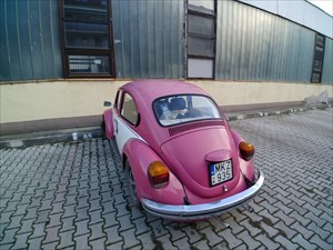 Travel (VW) Bug