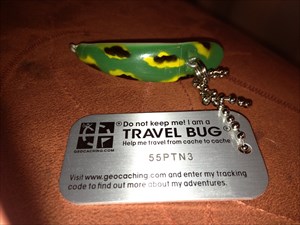 Geocaching Travel Bug Dog Tags Pair Unactivated Free Shipping 