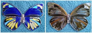 Butterfly 2010 Geocoin - Beauty Blue